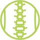spinal-column-e1564661342426.png